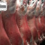 Agneau Entier Extra UE
