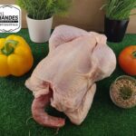 Poulet Fermier Blanc